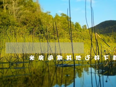 米房逾期其他还好下款吗 米房逾期其他还好下款吗