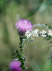 米房逾期几天打电话 米房逾期几天打电话