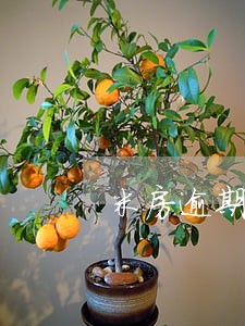 米房逾期可以下款吗 米房逾期可以下款吗