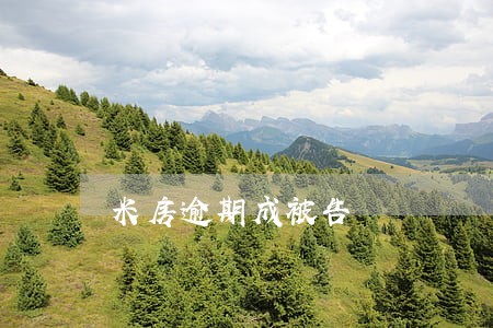 米房逾期成被告 米房逾期成被告