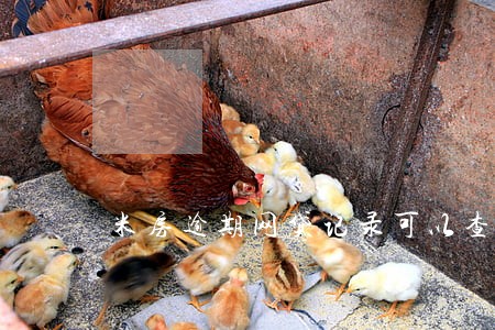 米房逾期网贷记录可以查出来吗 米房逾期网贷记录可以查出来吗