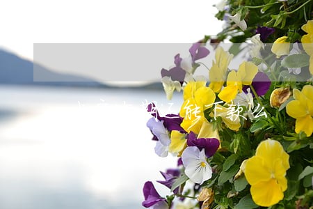 米房逾期还能下款么 米房逾期还能下款么