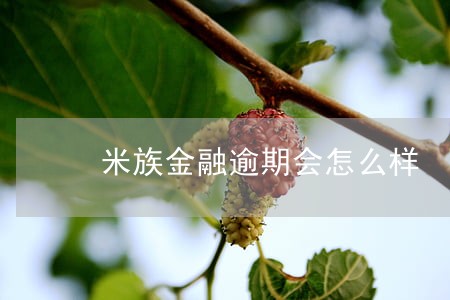 米族金融逾期会怎么样 米族金融逾期会怎么样