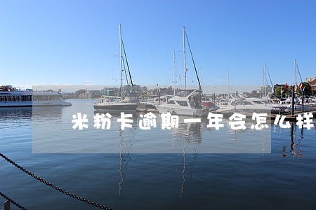 米粉卡逾期一年会怎么样 米粉卡逾期一年会怎么样