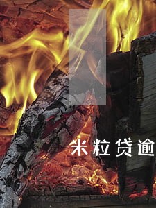 米粒贷逾期一年多了会有事吗 米粒贷逾期一年多了会有事吗