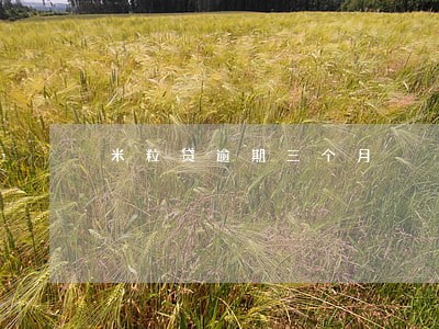 米粒贷逾期三个月 米粒贷逾期三个月