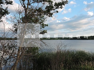 米粒贷逾期了催收吗 米粒贷逾期了催收吗