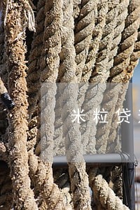 米粒贷逾期会上门吗 米粒贷逾期会上门吗