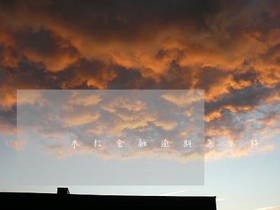 米粒金融逾期怎么样