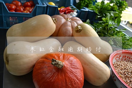 米缸金融逾期赔付 米缸金融逾期赔付