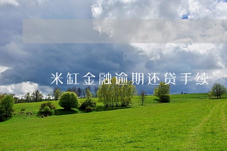 米缸金融逾期还贷手续 米缸金融逾期还贷手续