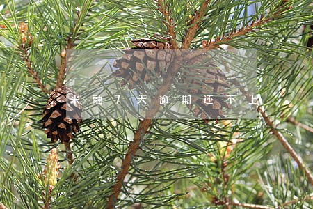 米融7天逾期还不上 米融7天逾期还不上