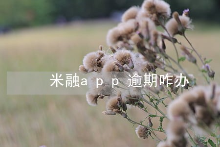 米融app逾期咋办 米融app逾期咋办