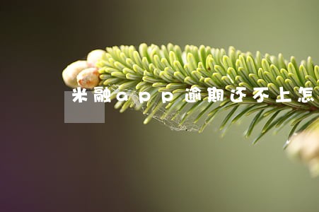 米融app逾期还不上怎么办 米融app逾期还不上怎么办