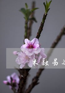 米融易逾期 米融易逾期