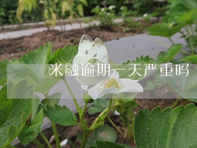 米融逾期一天严重吗 米融逾期一天严重吗