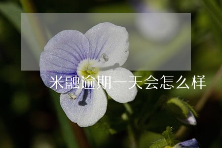 米融逾期一天会怎么样 米融逾期一天会怎么样