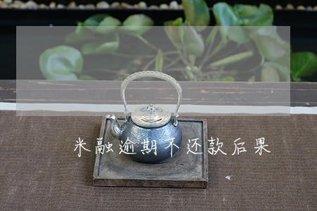 米融逾期不还款后果 米融逾期不还款后果