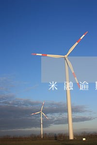 米融逾期了怎么办 米融逾期了怎么办