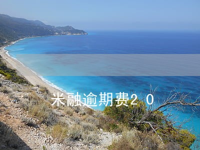 米融逾期费20