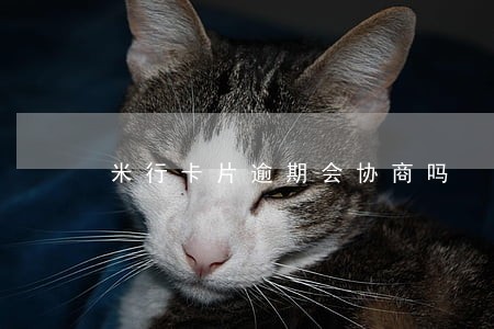 米行卡片逾期会协商吗 米行卡片逾期会协商吗