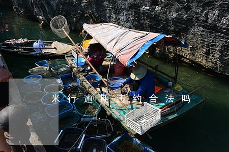 米行逾期违约合法吗 米行逾期违约合法吗