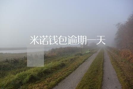 米诺钱包逾期一天
