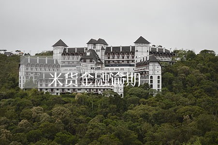 米货金融逾期