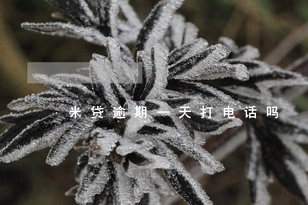 米贷逾期一天打电话吗 米贷逾期一天打电话吗