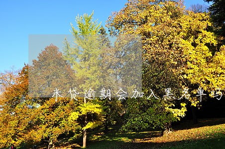 米贷逾期会加入黑名单吗 米贷逾期会加入黑名单吗