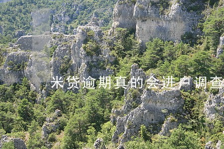 米贷逾期真的会进户调查吗