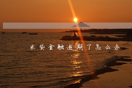 米贷金融逾期了怎么办 米贷金融逾期了怎么办
