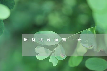 米贷钱包逾期一天 米贷钱包逾期一天