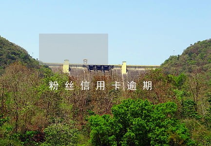 粉丝信用卡逾期