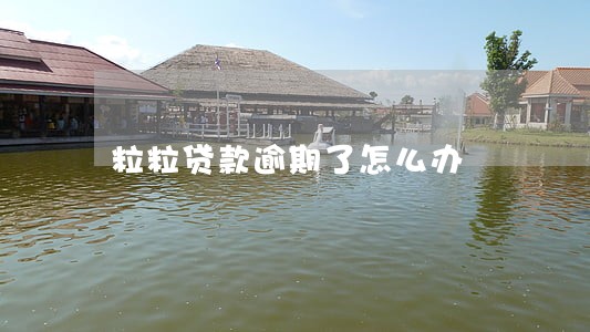 粒粒贷款逾期了怎么办 粒粒贷款逾期了怎么办