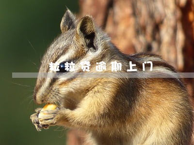 粒粒贷逾期上门 粒粒贷逾期上门