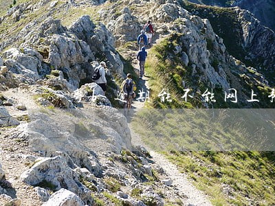 粤b逾期能不能网上预约年审 粤b逾期能不能网上预约年审