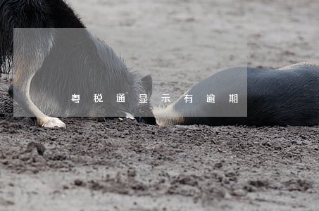 粤税通显示有逾期 粤税通显示有逾期