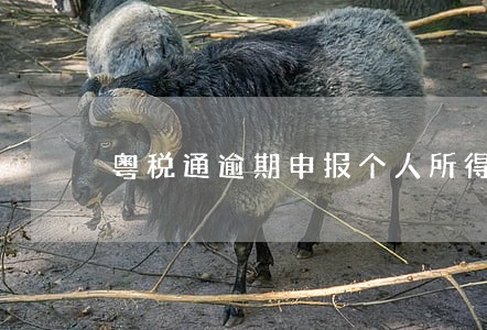 粤税通逾期申报个人所得税 粤税通逾期申报个人所得税