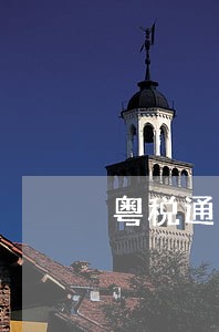粤税通里显示逾期没有申报 粤税通里显示逾期没有申报