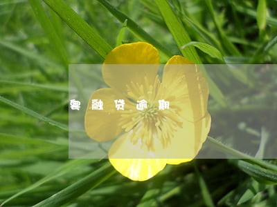 粤融贷逾期 粤融贷逾期