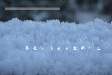 粤通卡信用卡逾期1元一个月