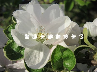 粤通卡逾期停卡了 粤通卡逾期停卡了