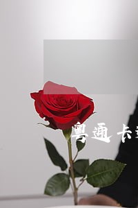 粤通卡逾期后还清能用么 粤通卡逾期后还清能用么