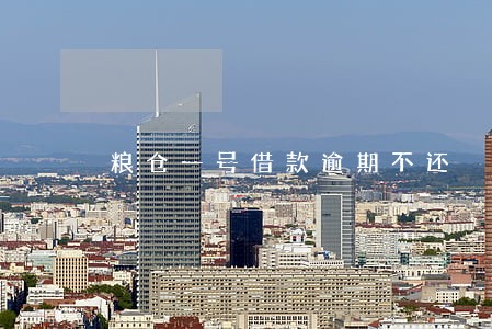 粮仓一号借款逾期不还