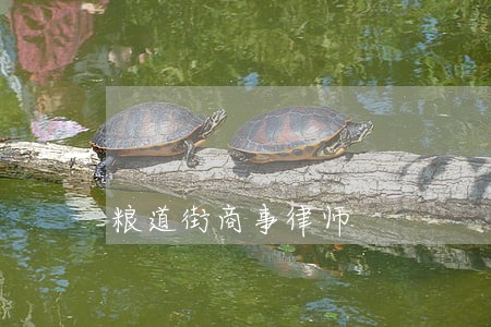 粮道街商事律师 粮道街商事律师