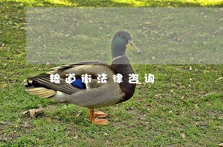 粮道街法律咨询 粮道街法律咨询