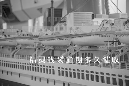 精灵钱袋逾期多久催收