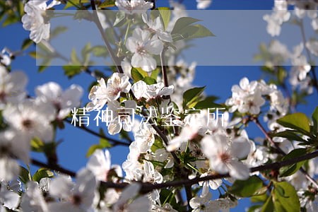 精神司法鉴定所 精神司法鉴定所