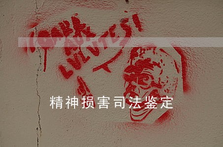 精神损害司法鉴定